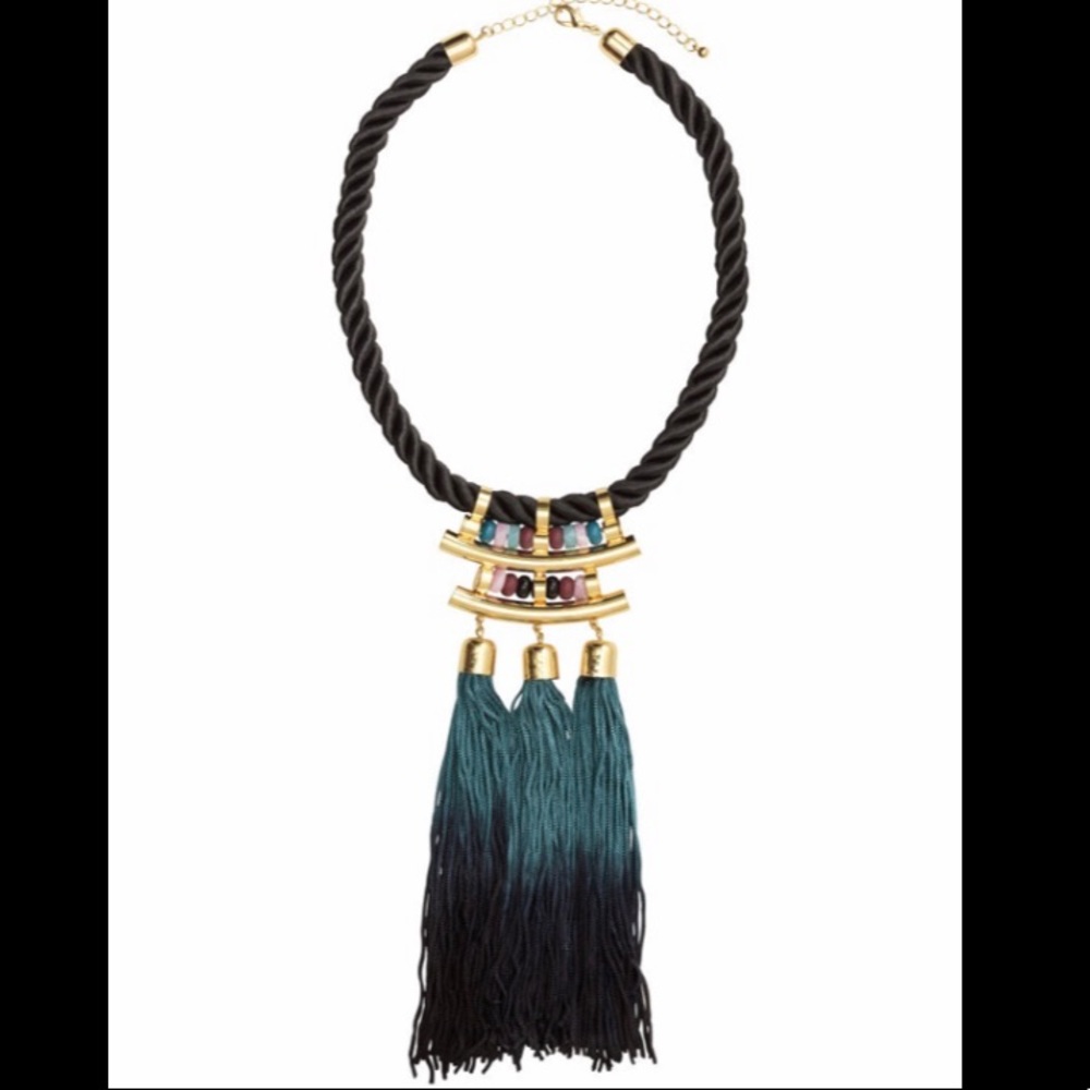 AMAZING Ombré Tassel Necklace! Like New!